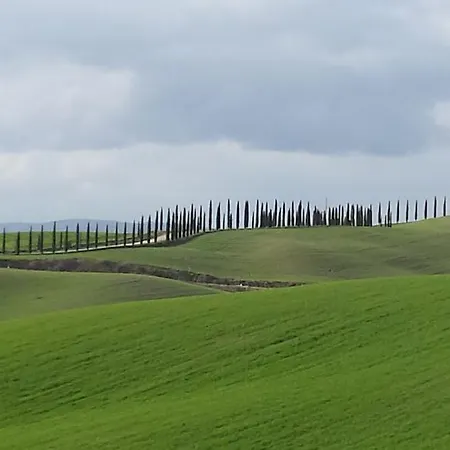 1000 Miglia 3* Monteroni d'Arbia
