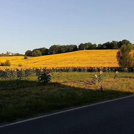 Szálloda 1000 Miglia