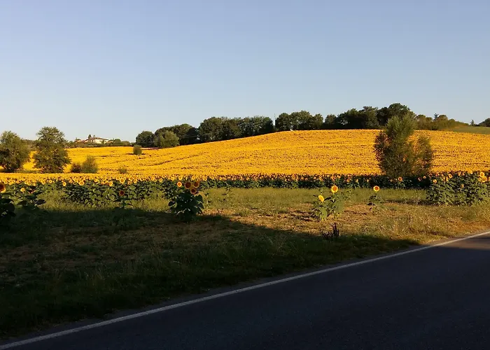 1000 Miglia