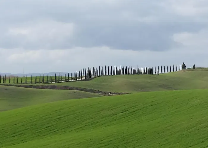 1000 Miglia 3* Monteroni dʼArbia